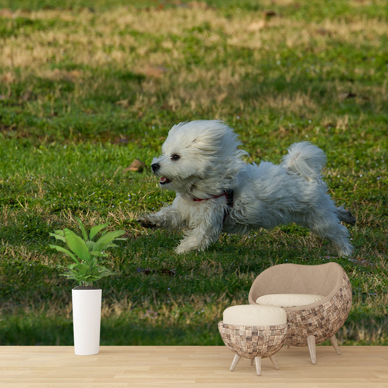 Different Kinds Dog Mural Decal Customized Modern Wall Covering for Bedroom