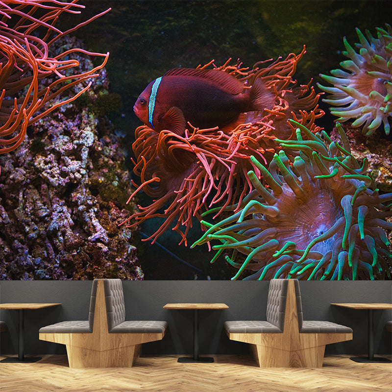 Beautiful Undersea World Mural Wallpaper Moisture Resistant Wall Art for Bedroom