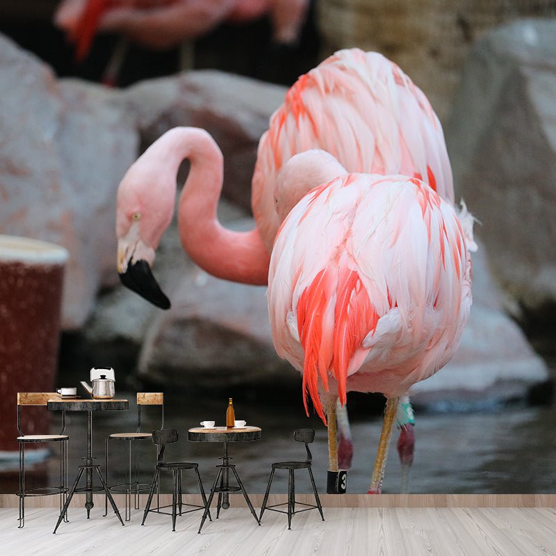 Tropical Flamingo Wall Decals for Bedroom Living Room Wall Decor, Waterproofing
