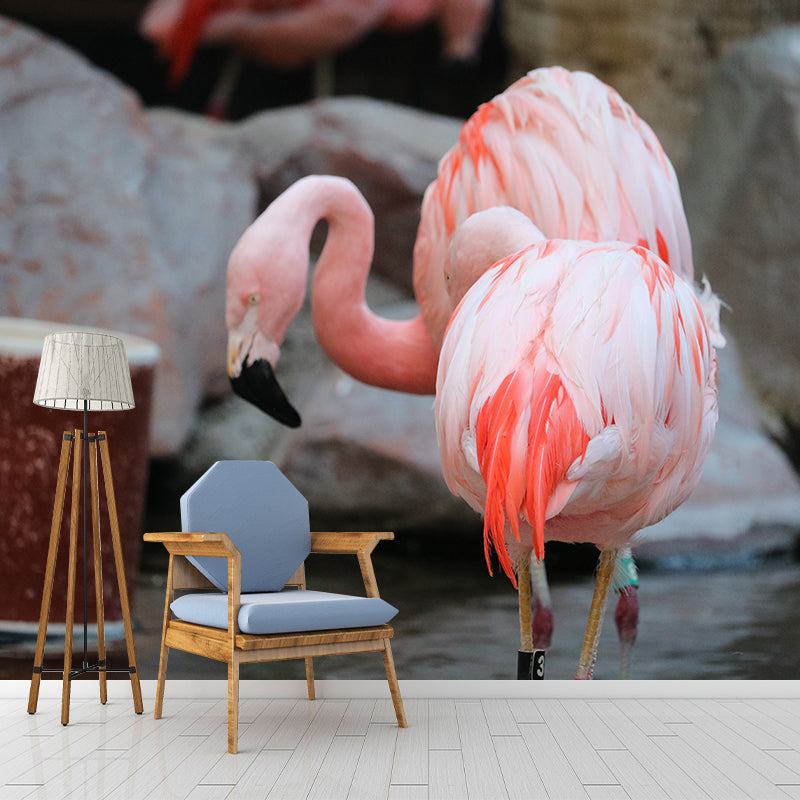 Tropical Flamingo Wall Decals for Bedroom Living Room Wall Decor, Waterproofing