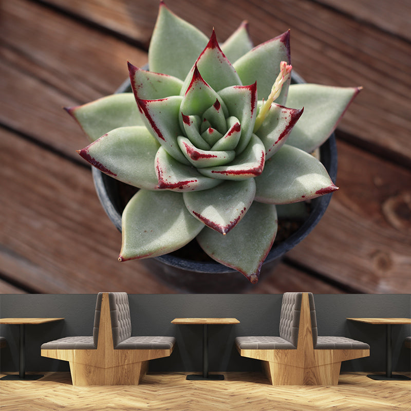 Nature Green Plants Wall Mural Personalized Size Coffee Shop Bathroom Decoration