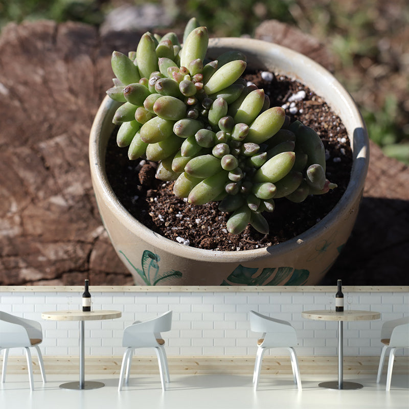 Nature Green Plants Wall Mural Personalized Size Coffee Shop Bathroom Decoration