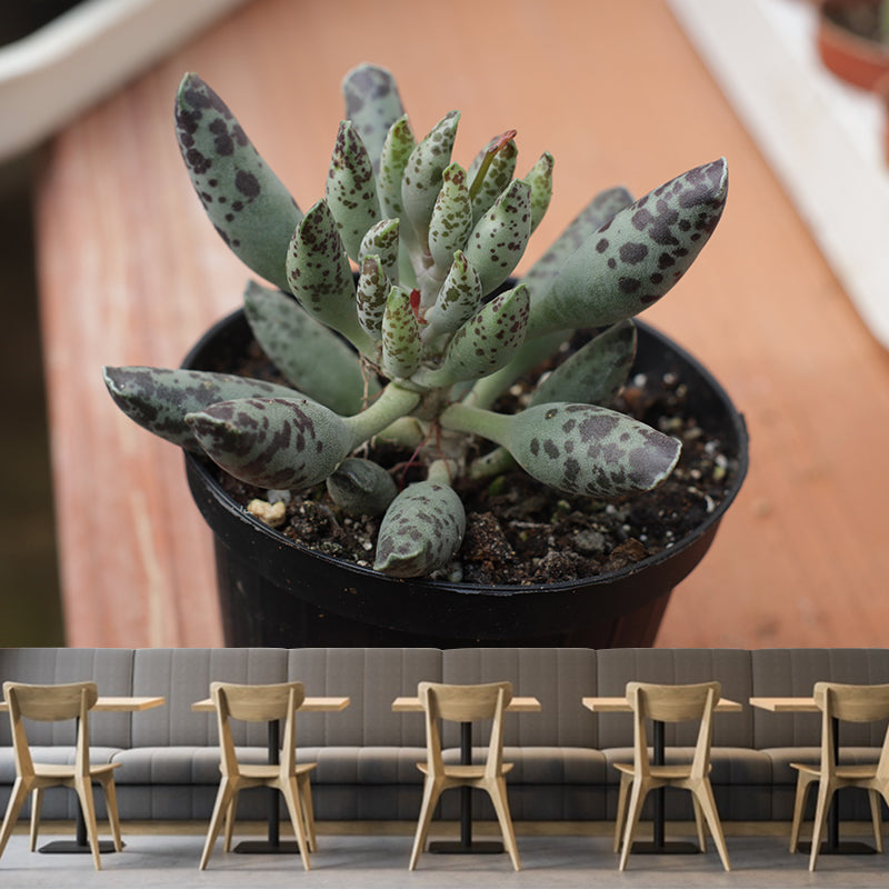 Nature Green Plants Wall Mural Personalized Size Coffee Shop Bathroom Decoration