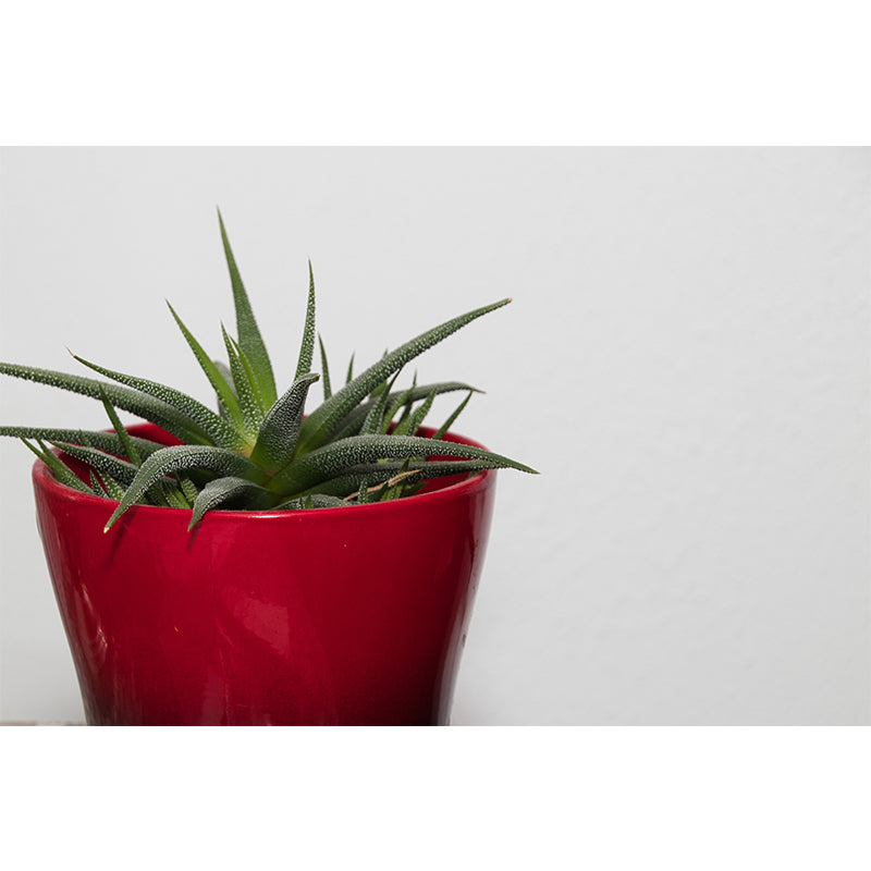 Green Plants Water-Resistant Wall Mural Personalized Size Simple Decoration for Office