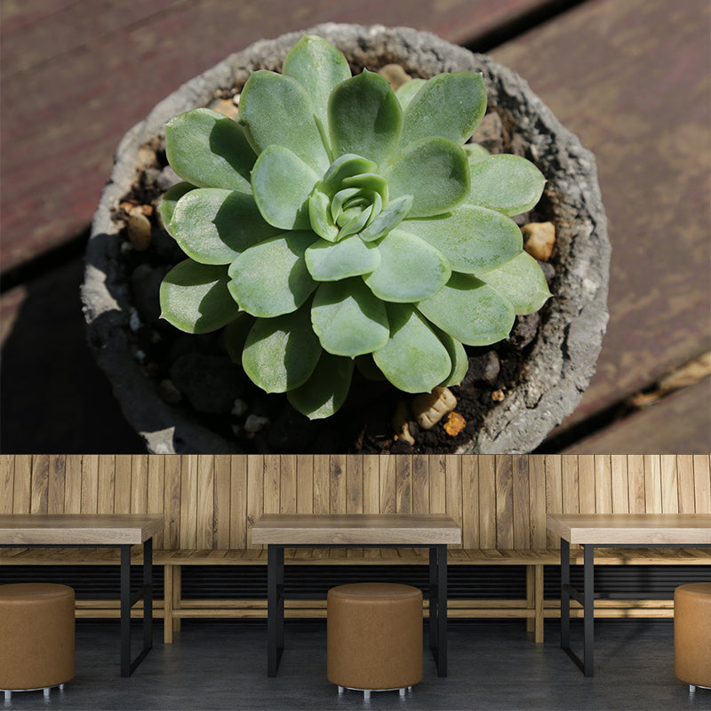 Vivid Plants Contemporary Wall Mural Moisture Resistant Decoration for Bedroom