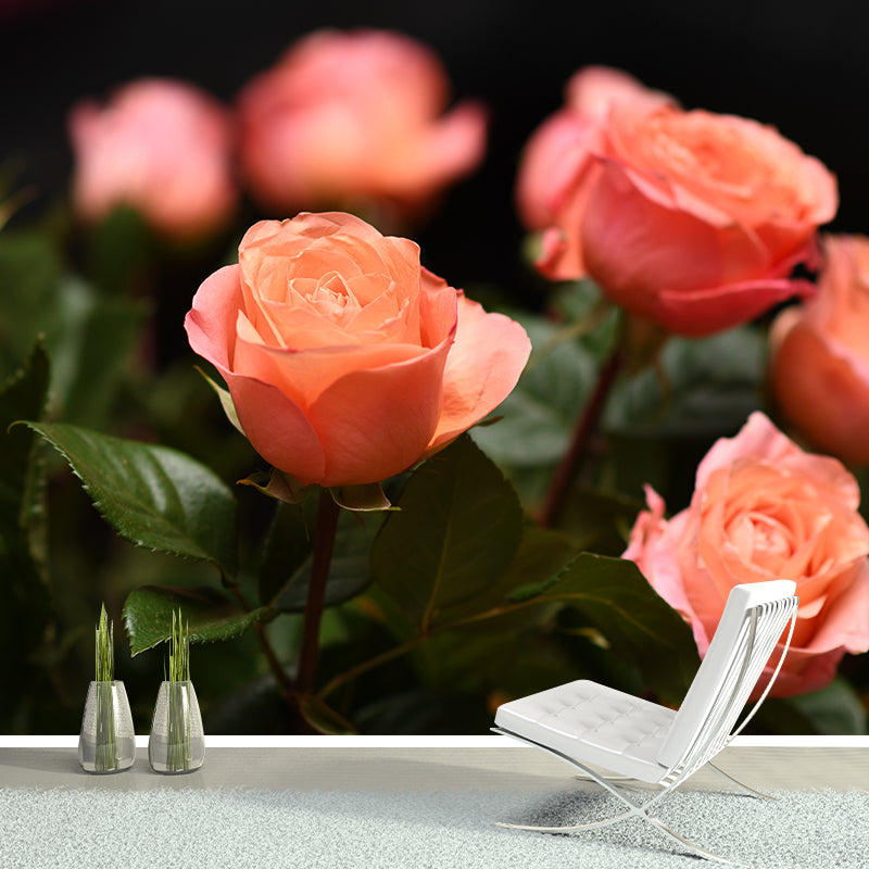 Elegant Rose Flower Photo Mural Wallpaper for Girl's Bedroom, Personalized Size