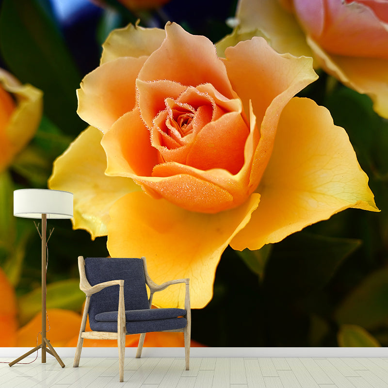 Elegant Rose Flower Photo Mural Wallpaper for Girl's Bedroom, Personalized Size