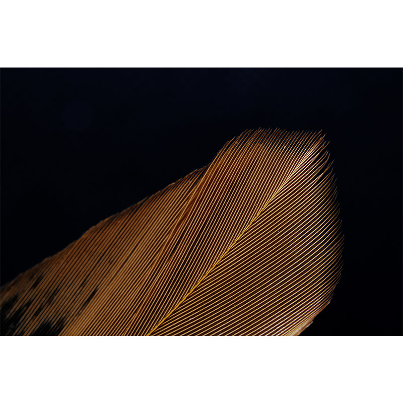 Feather Mural Wallpaper Minimalist Home Decor for Sleeping Room, Stain-Resistant