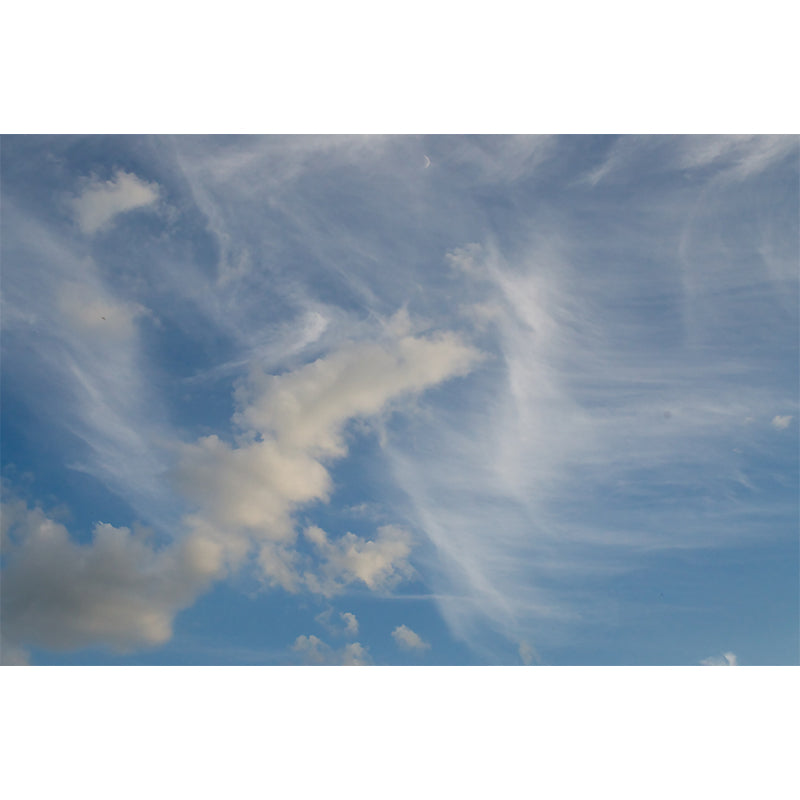 Beautiful Cloudscape Mural Decal Customized Contemporary Wall Covering for Bedroom