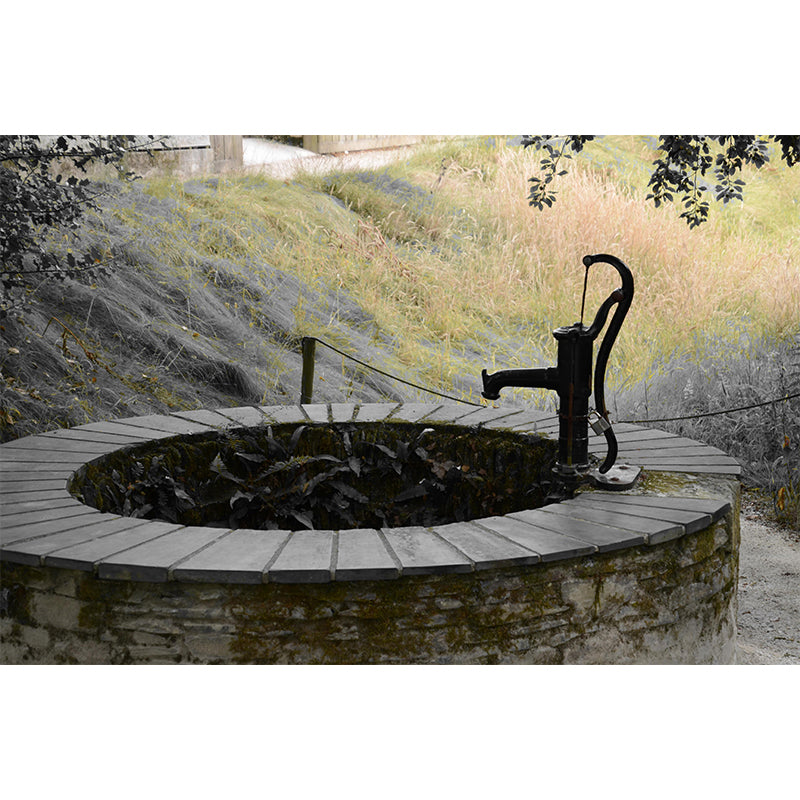 Photography Horizontal Well Mural Wallpaper Rural Wall Decor Bedroom Wall Murals