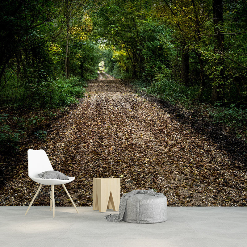 3D Illusion Wall Mural Contemporary Mildew Resistant Wall Art for Living Room