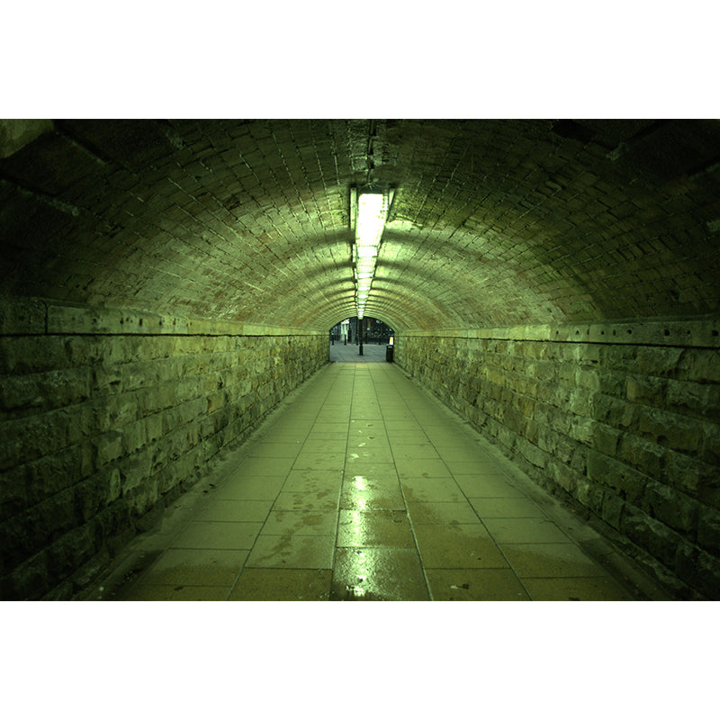 3D Illusion Wall Mural Contemporary Mildew Resistant Wall Art for Living Room