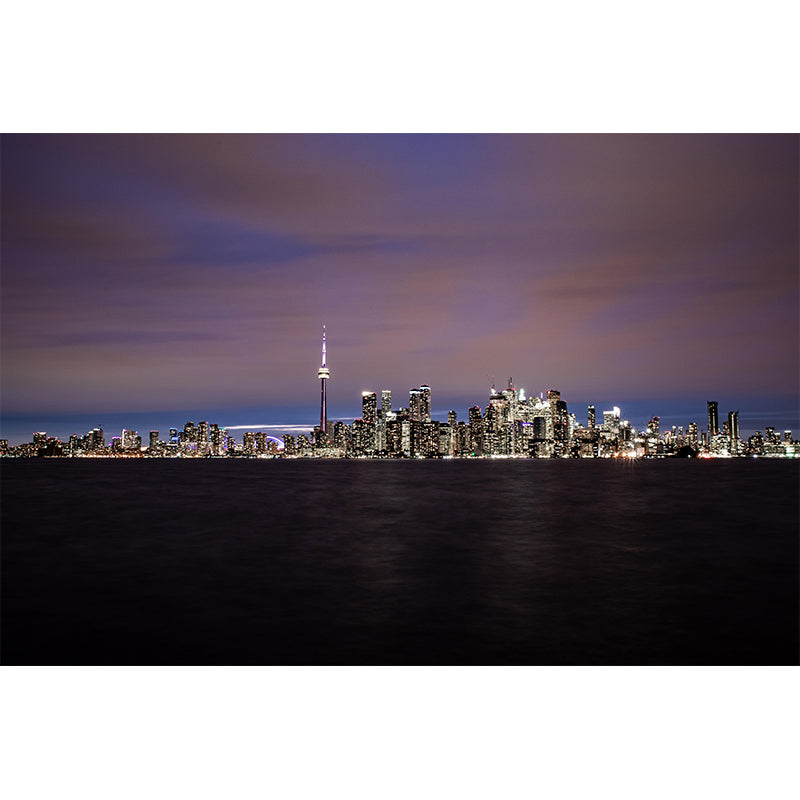 Photography Toronto City Mural Wallpaper Modern Style Wall Decor for Living Room