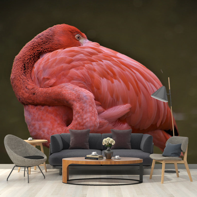 Full Size Flamingo Mural Wallpaper Decorative for Entrance End of Corridor