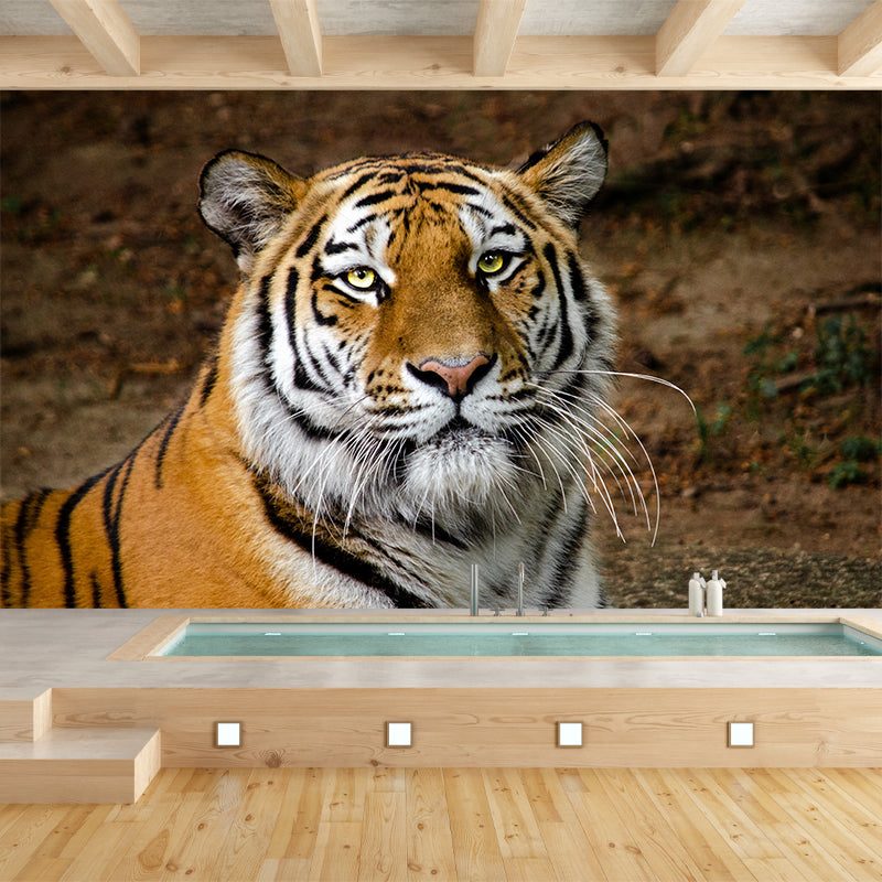 Cool Tiger Jungle Animal Mural Wallpaper Contemporary Wall Covering for Sitting Room