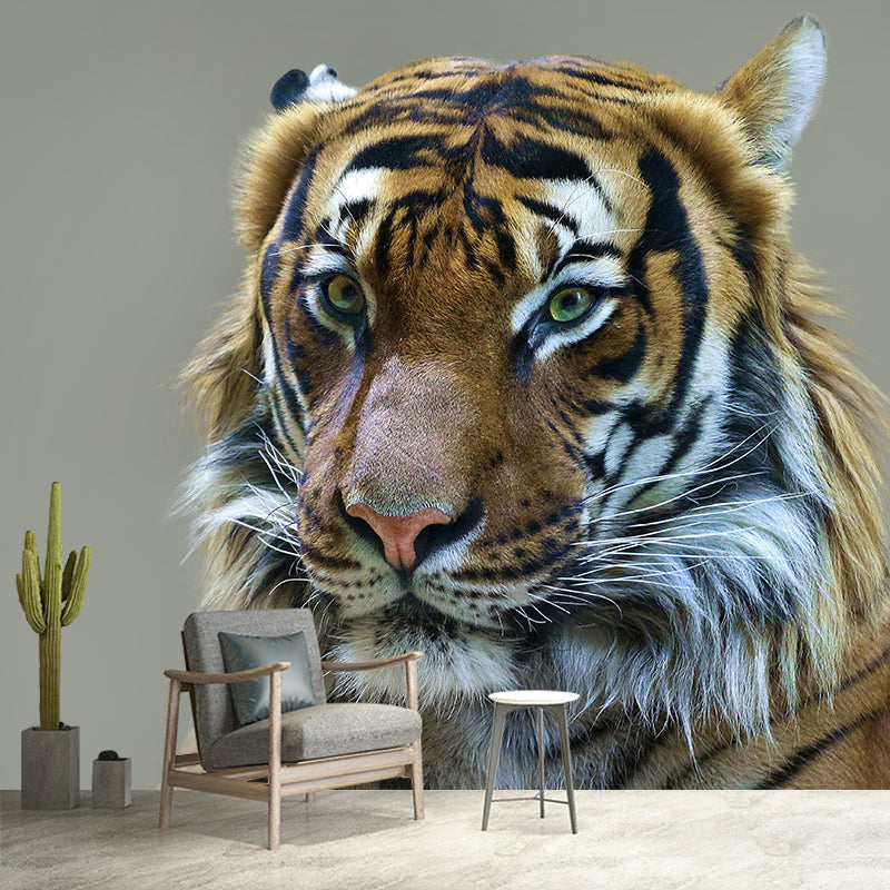 Cool Tiger Jungle Animal Mural Wallpaper Contemporary Wall Covering for Sitting Room