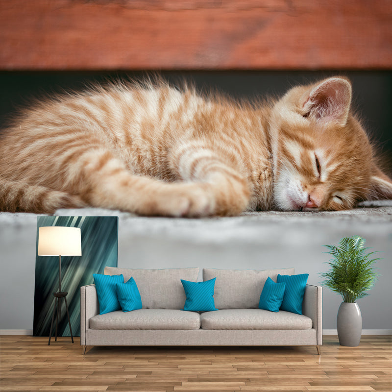 Animal Cat Mural Wallpaper Contemporary Moisture Resistant Wall Covering