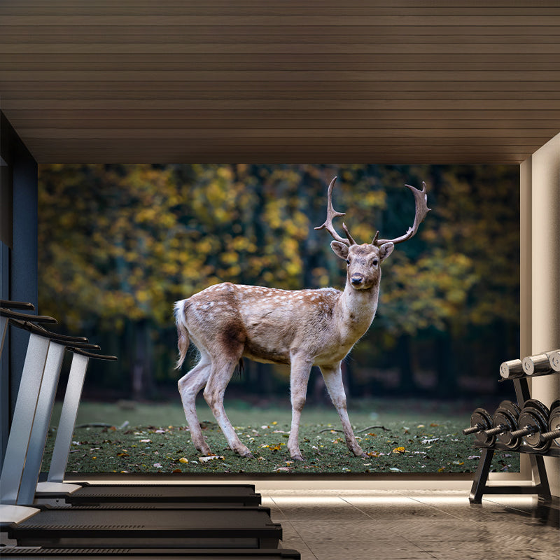 Deer Wall Decal Stain Resistant Mural Wallpaper Contemporary Bedroom Wall Covering