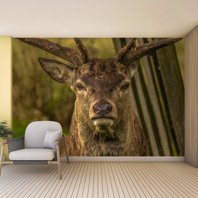 Deer Wall Decal Stain Resistant Mural Wallpaper Contemporary Bedroom Wall Covering