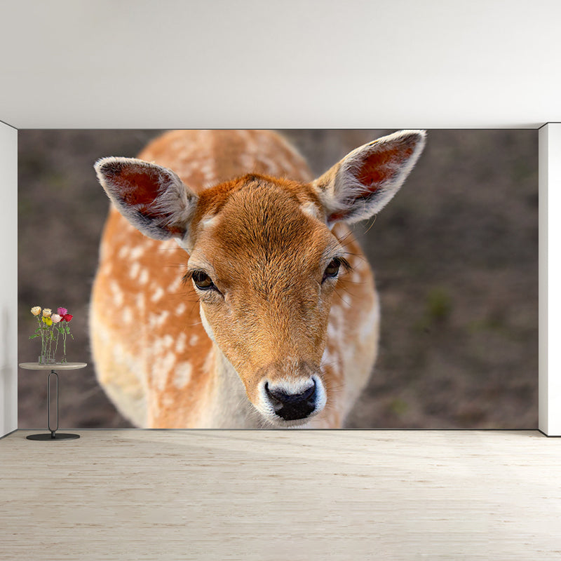 Deer Wall Decal Stain Resistant Mural Wallpaper Contemporary Bedroom Wall Covering
