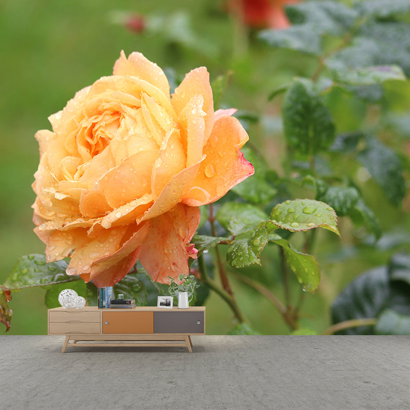 Modern Blossoming Rose Wall Mural Waterproofing Wall Art for Bedroom Decor