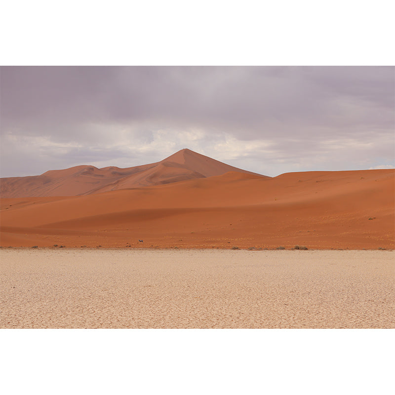 Photography Desert Mural Yellow Modernism Wall Decor for Living Room Bedroom