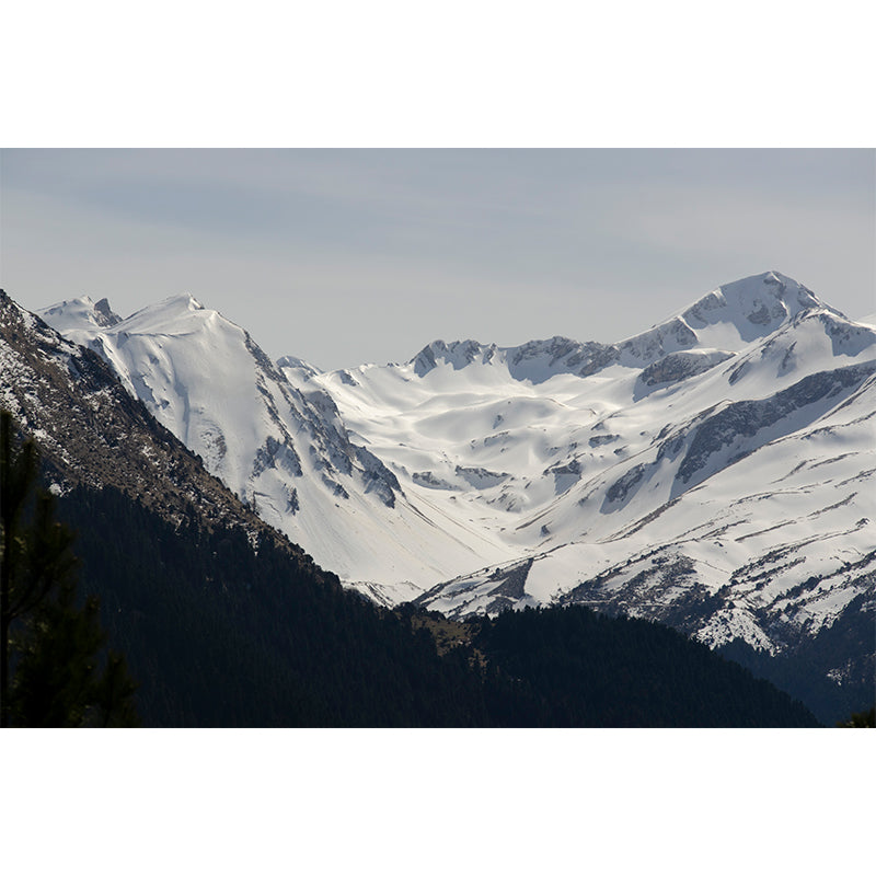 Snowy Mountain Range Murals Modern Moisture Resistant Wall Covering for Living Room