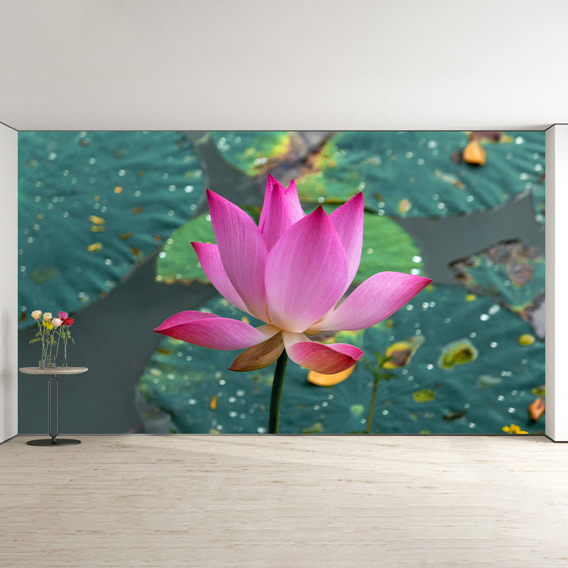 Pink Lotus Flower Photo Removable Wall Mural Modern Style Wall Covering for Stairway