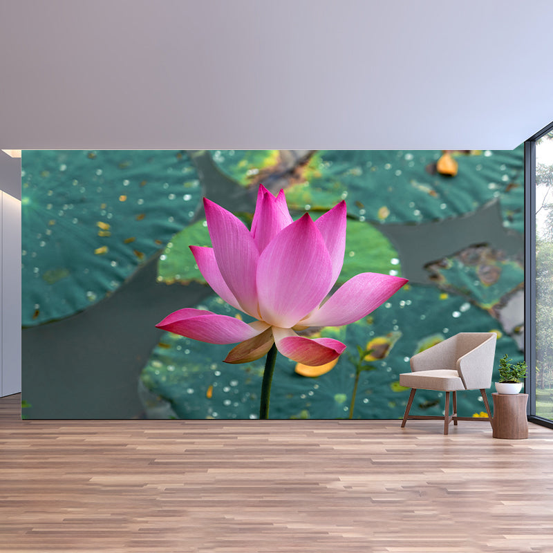 Pink Lotus Flower Photo Removable Wall Mural Modern Style Wall Covering for Stairway