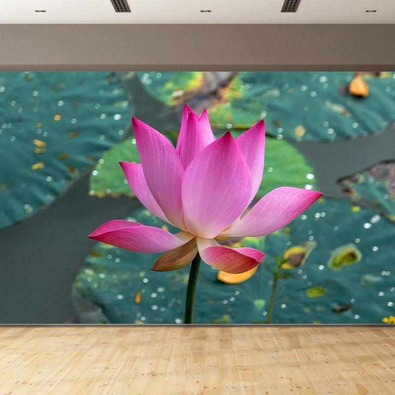 Pink Lotus Flower Photo Removable Wall Mural Modern Style Wall Covering for Stairway