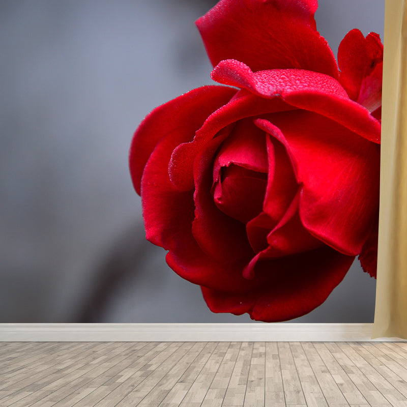 Elegant Rose Flower Photo Mural Modern Smooth Wall Covering in Red, Water Resistant