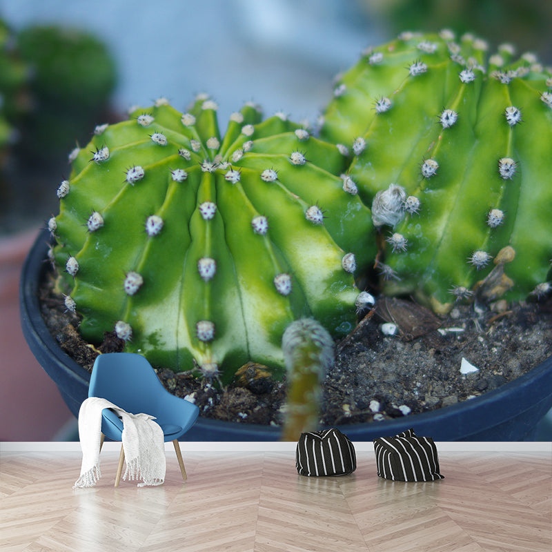 Green Plants Wall Mural Vinyl Wall Art Decor for Office Home Apartment