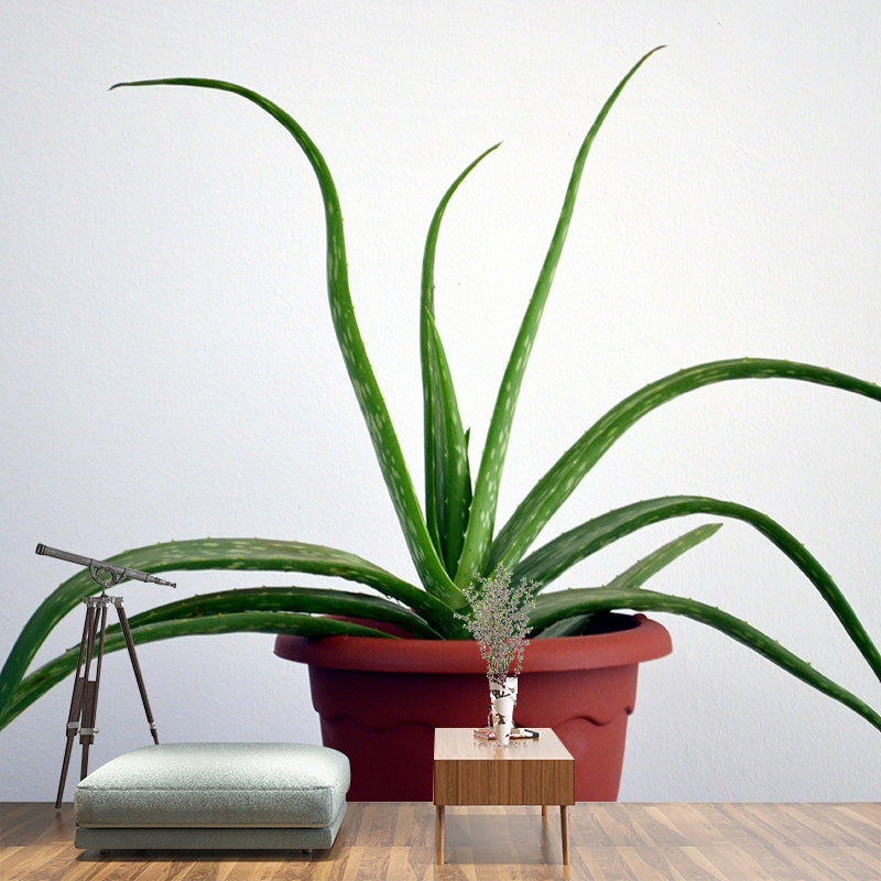 Green Plants Wall Mural Vinyl Wall Art Decor for Office Home Apartment