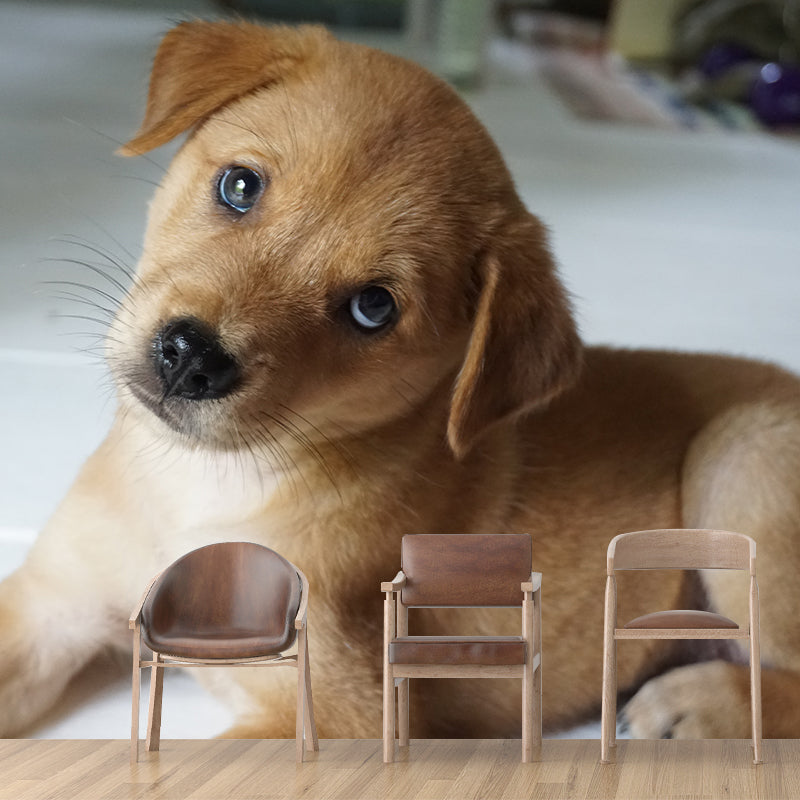 Lovely Dog Wall Mural Removable Wall Covering for Sleeping Room,Water Resistant