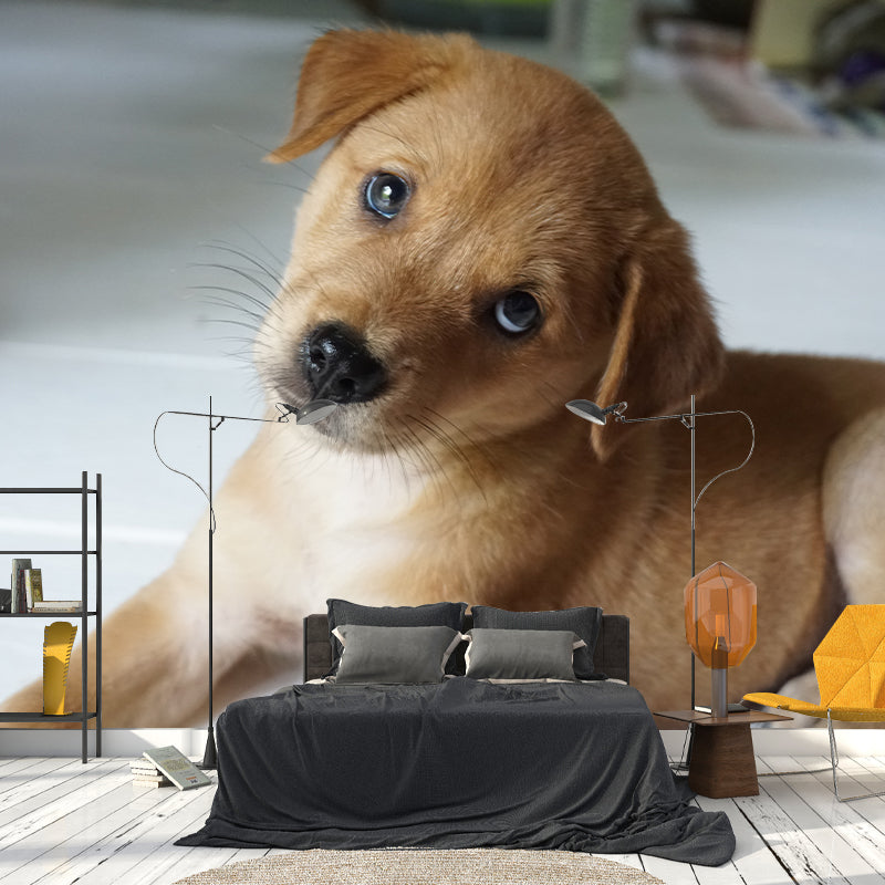 Lovely Dog Wall Mural Removable Wall Covering for Sleeping Room,Water Resistant