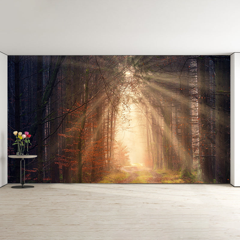 Photographic Forest Mural for Living Room Bedroom, Removable, Customized Size