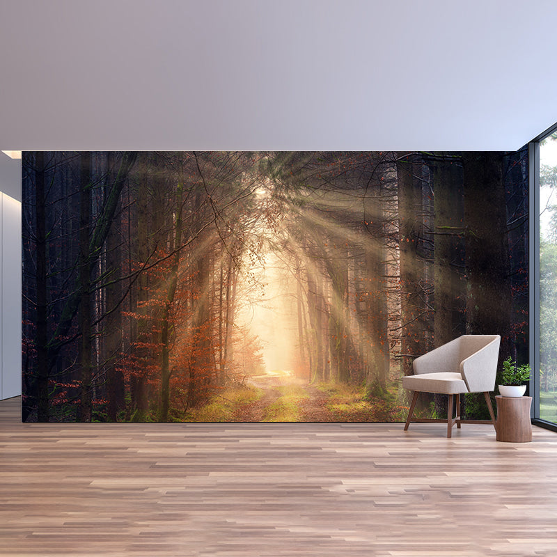 Photographic Forest Mural for Living Room Bedroom, Removable, Customized Size