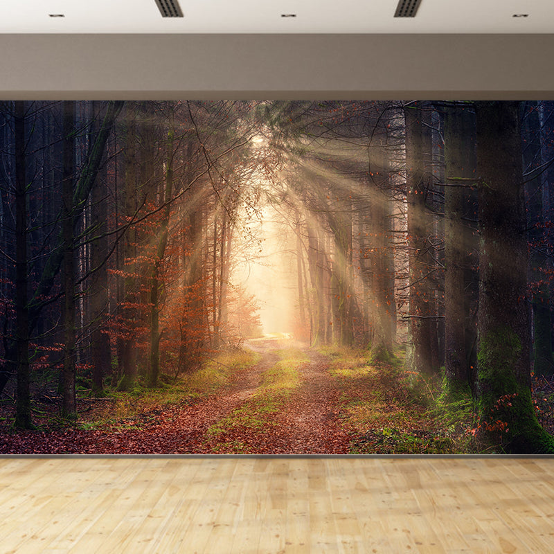 Photographic Forest Mural for Living Room Bedroom, Removable, Customized Size