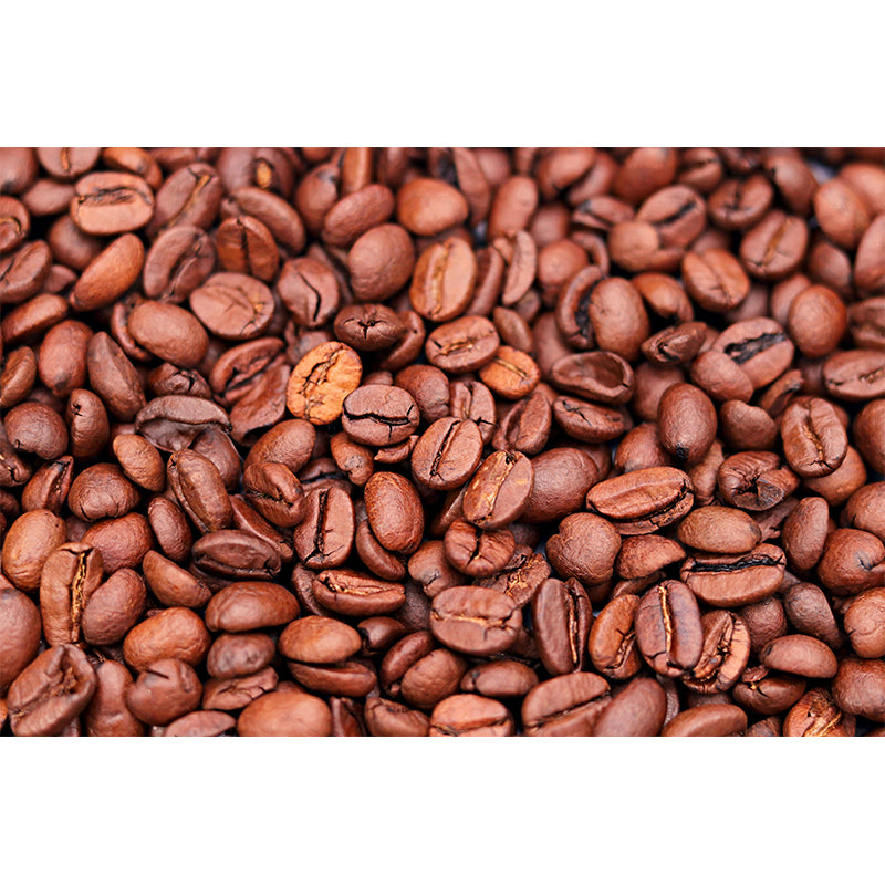 Coffee Beans Photo Mural Wallpaper Wall Art for Bar and Coffee Shop, Waterproofing