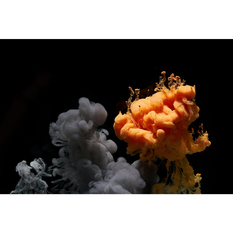 Huge Explosion Mural Decal Modern Novelty Abstract Wall Art in Multi Color