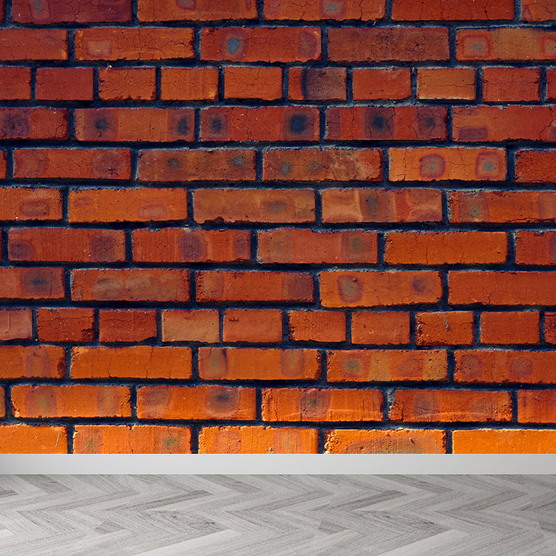 Geometric Wall Mural Decal Photography Contemporary Soft Color Wall Art Living Room Murals