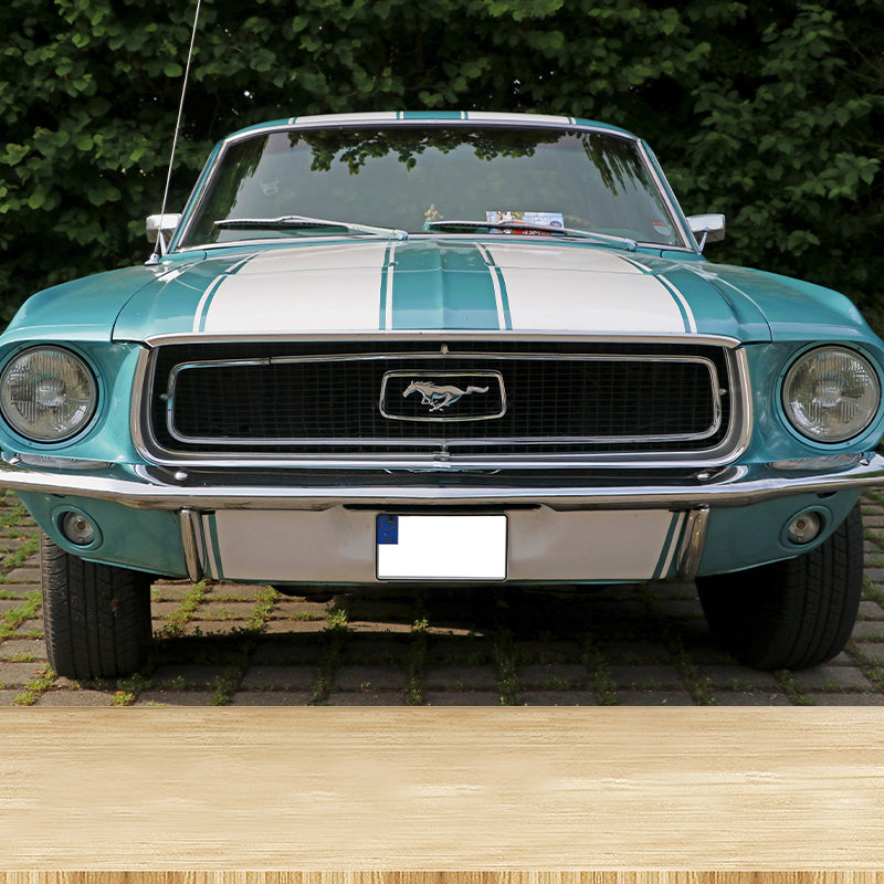 Sanfte Farbe Ford Transportatin Wandgemälde Horizontale Fotografie Dekorative Wandverkleidung