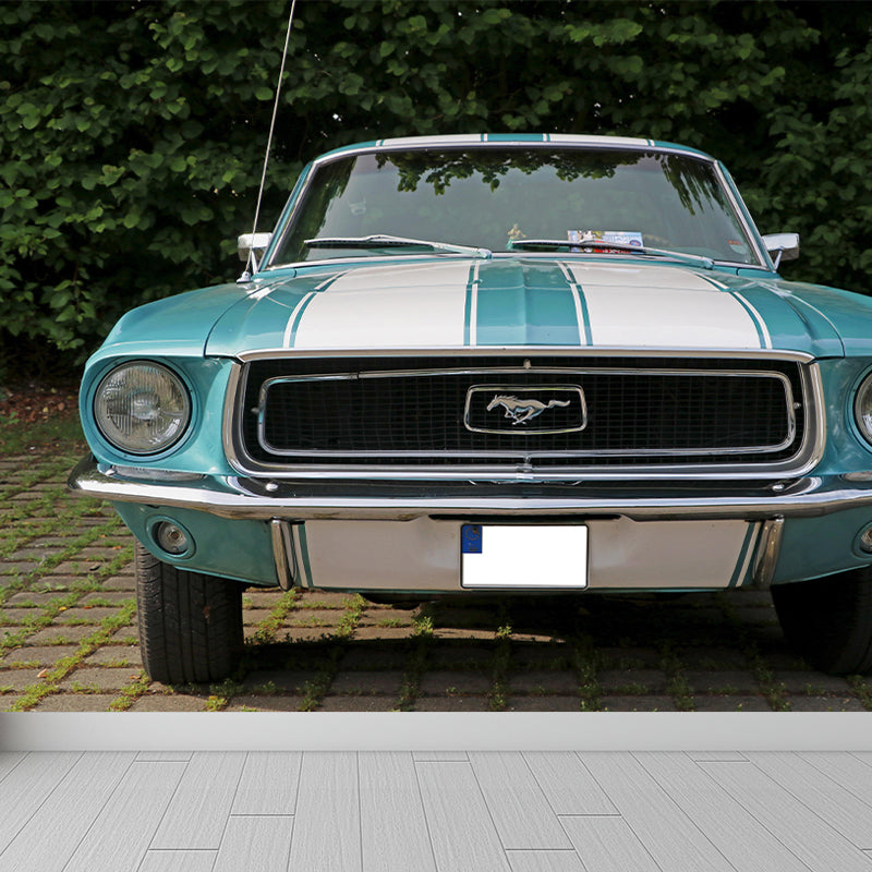 Sanfte Farbe Ford Transportatin Wandgemälde Horizontale Fotografie Dekorative Wandverkleidung