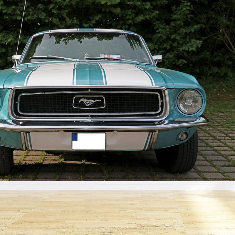 Sanfte Farbe Ford Transportatin Wandgemälde Horizontale Fotografie Dekorative Wandverkleidung