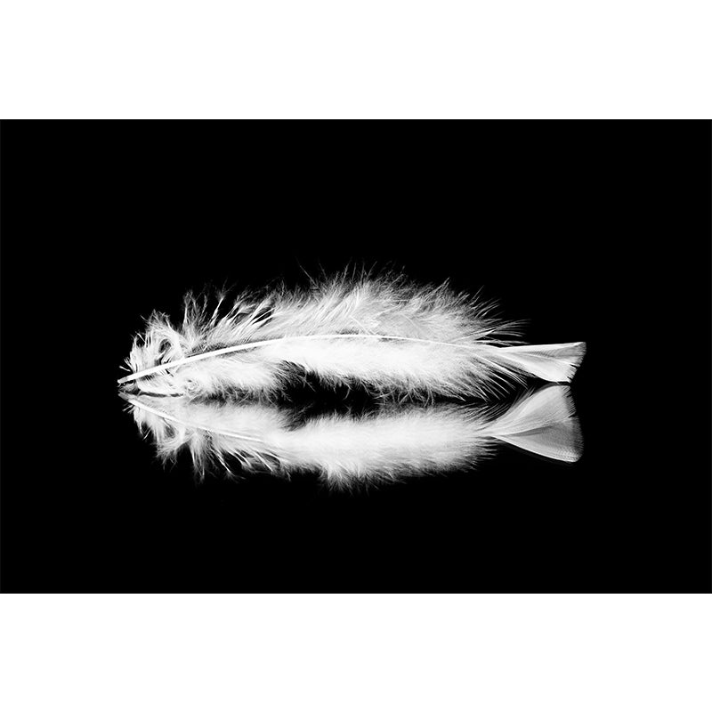 Beautiful Feather Mural Wallpaper Mildew Resistant Children's Room Mural Wall Art