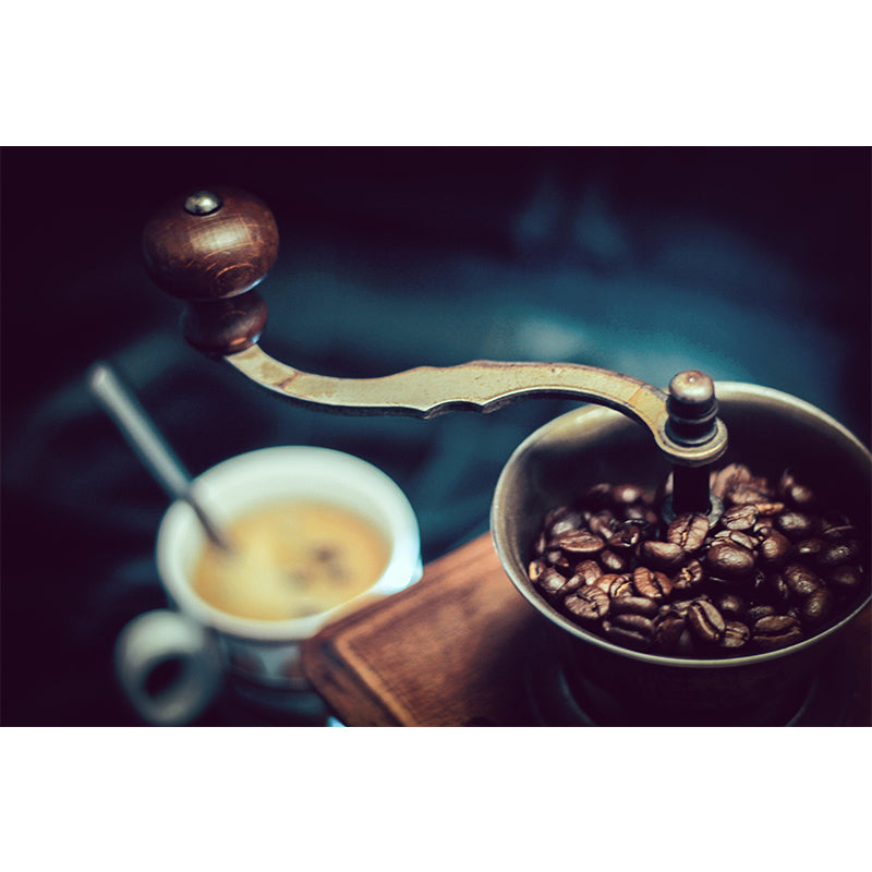 Photography Coffee Bean Wall Decal Modern Style Coffee Shop Decor Mural Wallpaper