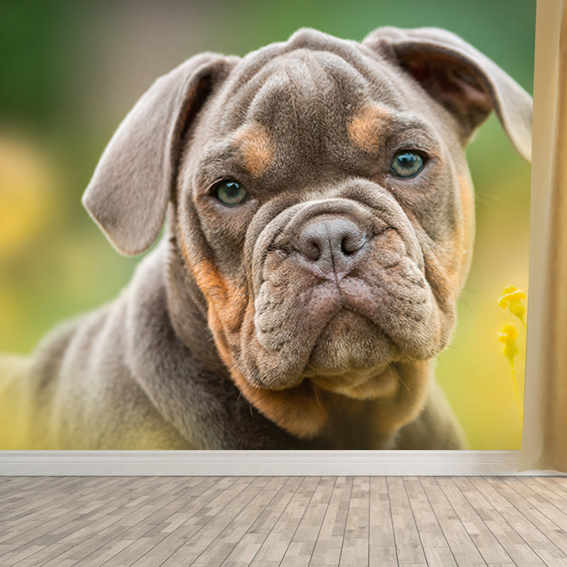 Lovely Dog Mural Wallpaper Water-Resistant Wall Covering for Accent Wall