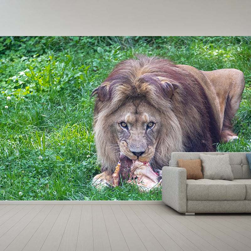 Lion Jungle Animal Mural Decal Contemporary Wall Decor for Bedroom, Stain-Resistant