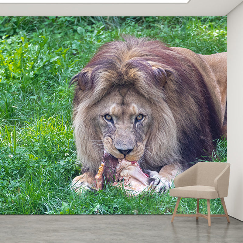 Lion Jungle Animal Mural Decal Contemporary Wall Decor for Bedroom, Stain-Resistant