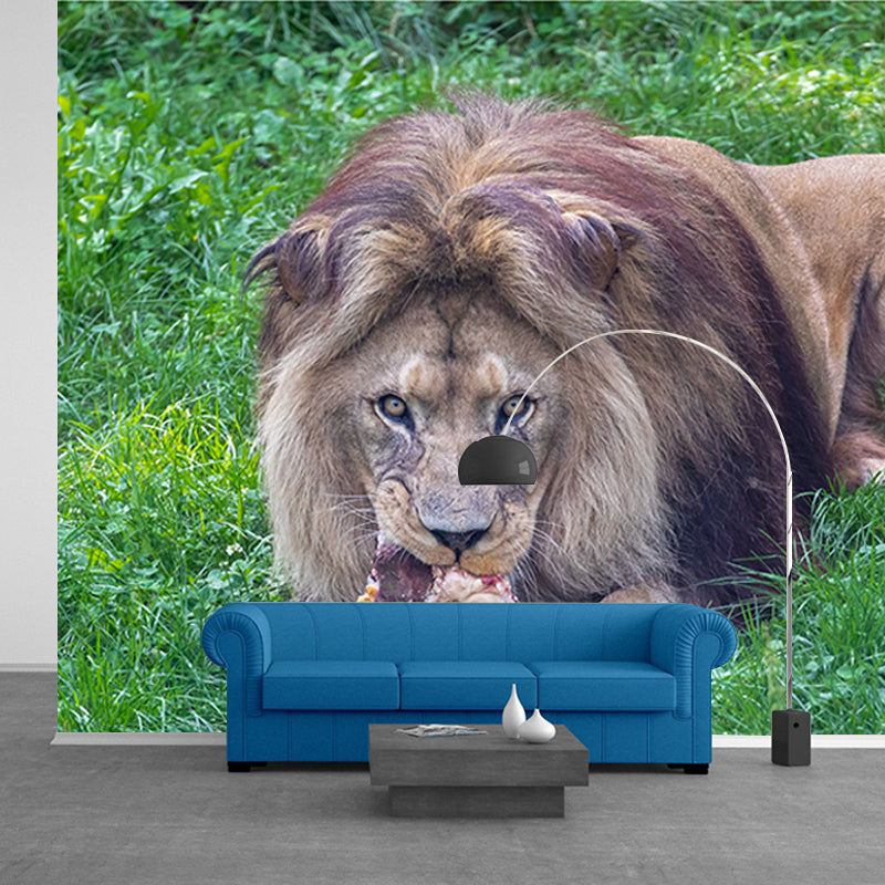 Lion Jungle Animal Mural Decal Contemporary Wall Decor for Bedroom, Stain-Resistant